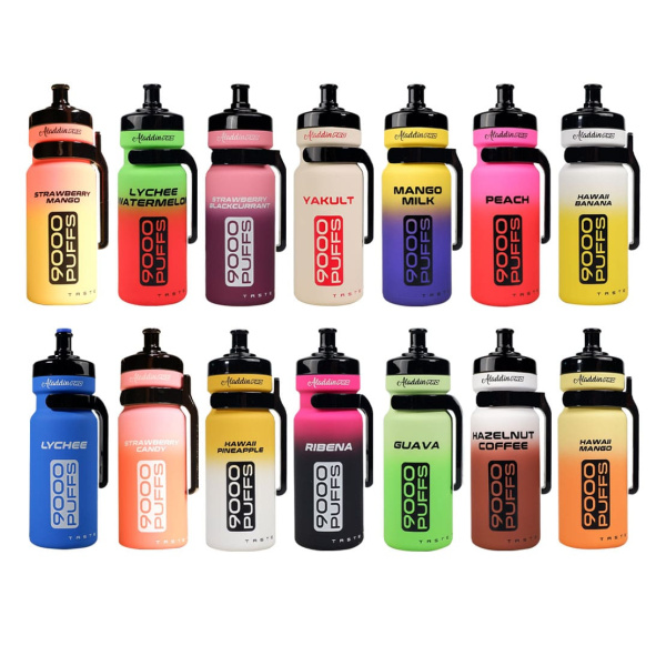 ALADDIN PRO ENJOY 9000 10 PCS BUNDLE Vape SG Cod